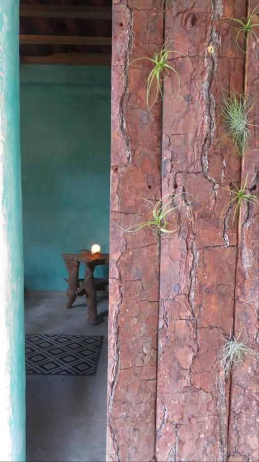 OcosingoCasita Tonina住宿加早餐旅馆 外观 照片