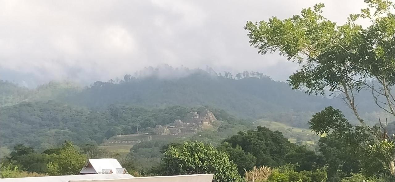 OcosingoCasita Tonina住宿加早餐旅馆 外观 照片