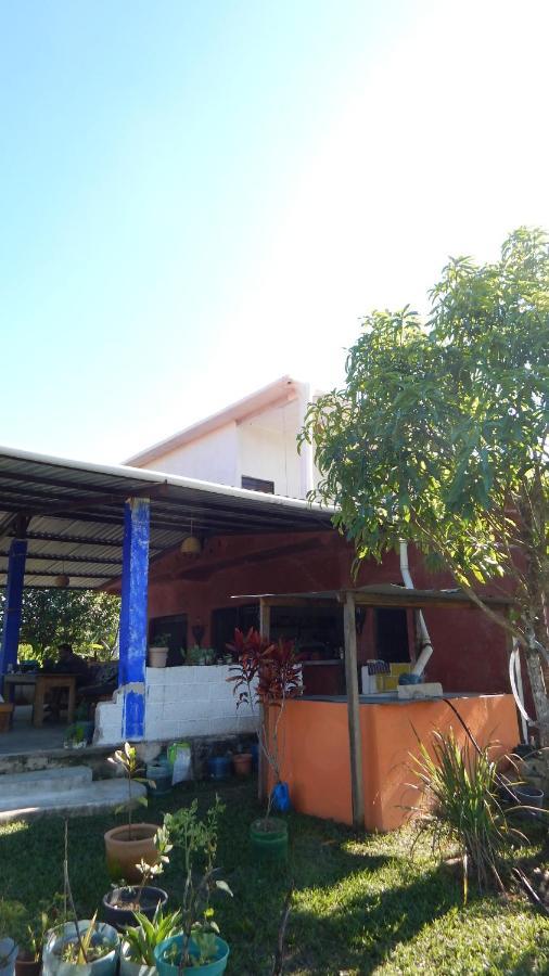 OcosingoCasita Tonina住宿加早餐旅馆 外观 照片